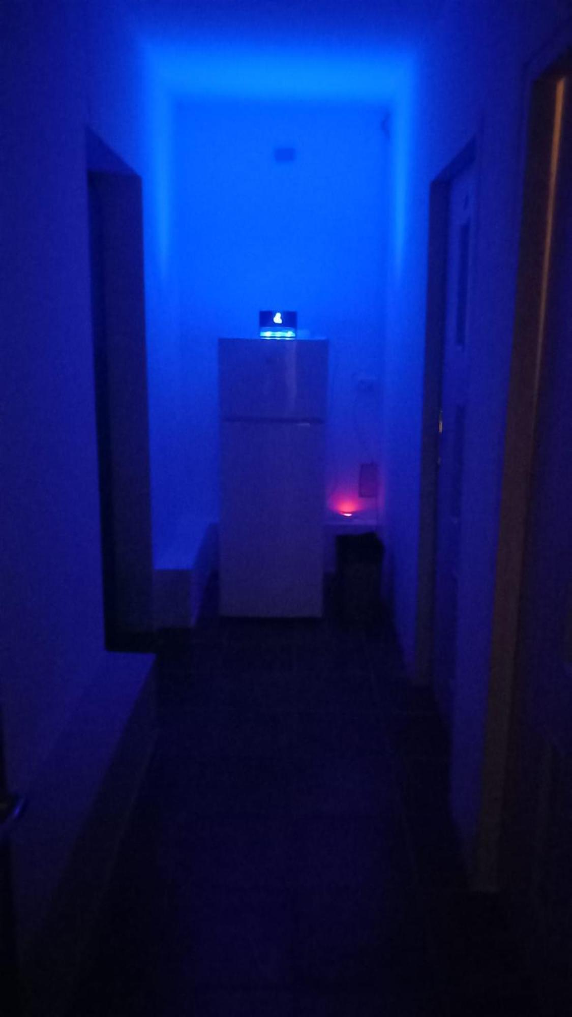 Lemon Tree Hostel Kraków Eksteriør billede